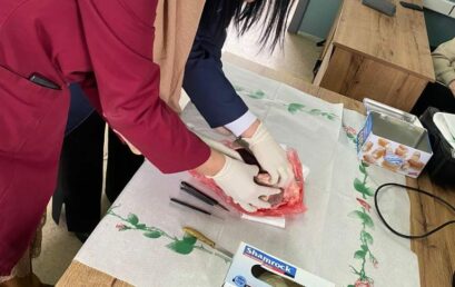Punë praktike në lëndën e Biologjisë dhe Anatomisë