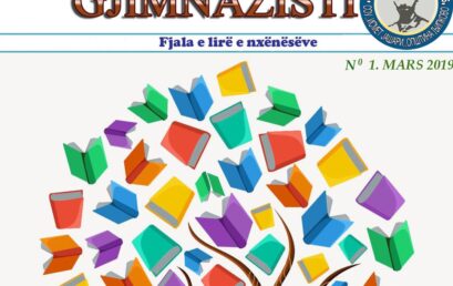 Revista shkollore